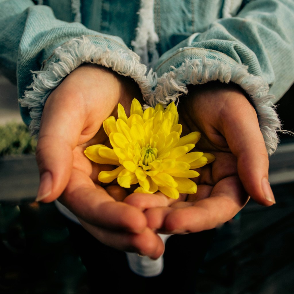 A Year of Faith, Change, and&nbsp;Opennness